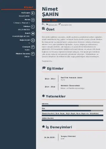 Ressam Cv Örnekleri cv indir